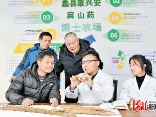 记者走基层｜“山药博士”出诊记