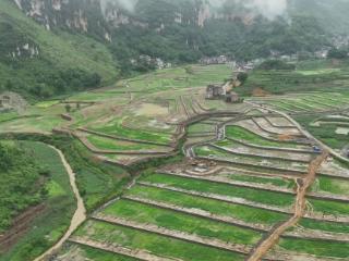 勇毅笃行 奋楫争先——农发行望谟县支行“十四五”时期全力服务地方经济社会发展