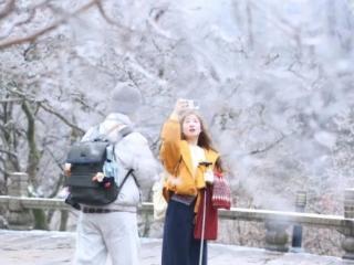 黄山之巅降雪，玉树琼花仿若仙境