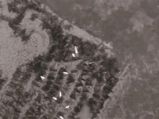 无人机悬停射杀 杭州警方破获一起新型非法狩猎案