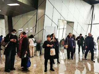 十二生肖等奇品石破天惊 南京雨花石精品展神乎其神