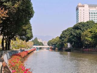 低温仅剩个位数！福州将迎大降温！还有中雨和大风……