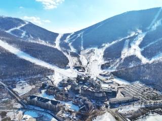 冰雪微笑曲线｜惊艳世界的吉林粉雪，缘何让全球雪友疯狂追逐？