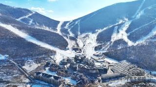 冰雪微笑曲线｜惊艳世界的吉林粉雪，缘何让全球雪友疯狂追逐？