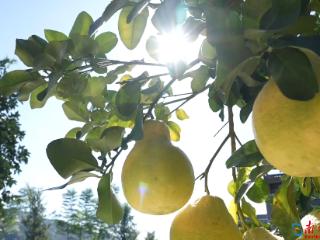 百千万·山海间｜五口人，50年