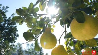 百千万·山海间｜五口人，50年