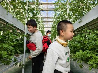 智慧农场看点多