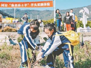 同安区深入开展“工作落实再提标”活动
