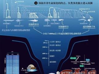 西工大成果第三次入选“中国生命科学十大进展”