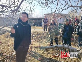 卢龙：农技培训进果园 冬管指导促增收