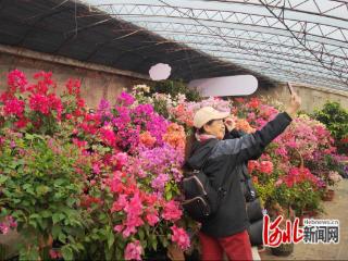 秦皇岛抚宁：特色展会点燃冬日乡村新活力