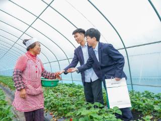 邮储“贷”动乡村“莓”好生活
