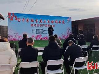 北国冬日赏南花 秦皇岛市抚宁区留守营镇首届三角梅精品展开幕