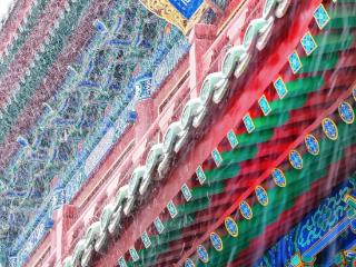 冬日中原，遇见中国色！