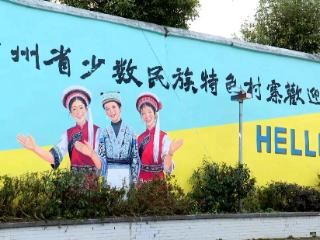 普定县白岩镇讲义村：旧貌换新颜 乡村焕生机