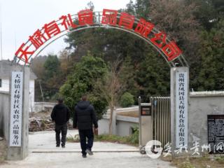 凤冈：石桥架“金桥” “输血”变“造血”