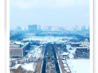 海报｜雪落春城，一城素裹一城诗