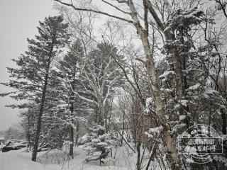 今明两天，我省局地仍有小雪