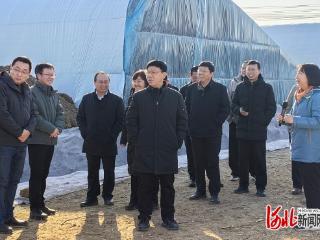 河北省设施蔬菜创新团队首席专家带队联合调研，助力沧州市设施蔬菜产业高质量发展