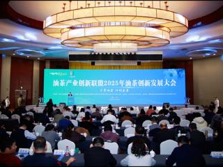 “十五五”主攻平台与核心技术 浙江常山谋划油茶全价值链融合发展