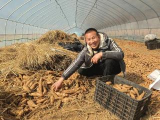 紫云：以特色产业激活乡村振兴澎湃动能