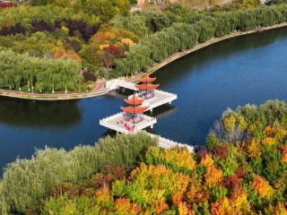 学习贯彻省委十二届八次全会精神·权威访谈｜以高品质生态环境支撑高质量发展，努力打造美丽中国吉林样板