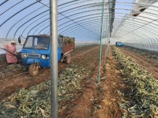 接山镇：冬闲人不闲 绘就春茬备播“精细图”