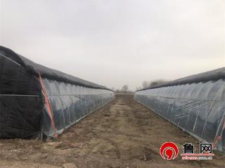 奋楫三载谱新篇 赵虎振兴启新程——德州天衢新区赵虎镇三年转型纪实