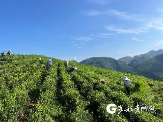 习水二里镇：五年实干 幸福看得见