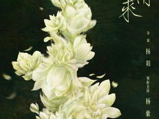 电视剧《玉兰花开君再来》官宣开机！杨紫领衔演绎女性成长史诗