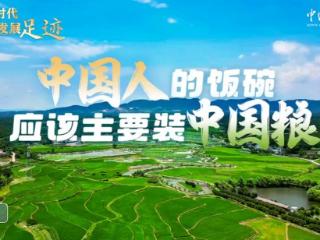 探寻新时代发展足迹｜中国人的饭碗应该主要装中国粮