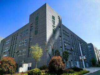 心系华夏，礼赞时光：盛世化彩向全球华人恭祝2026年新年快乐