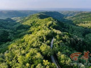 从普通果农到农民学校校长 他搭上了永寿县乡村振兴的“快车”