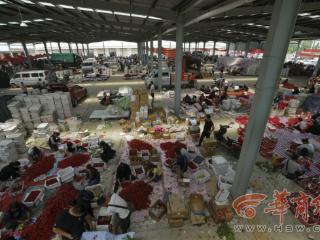 “小银行”照亮“致富路” 澄城县打通农村金融最后一公里