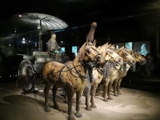 千年“骑”迹 当文物中的骏马奔向2026丨闪耀吧！中华宝藏