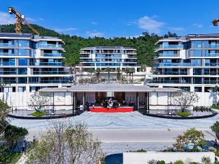 驻青央企项目快讯|三亚海棠湾地块项目展示区启幕