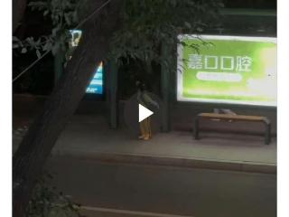 外交部发言人点赞转发！嘉善公交站前练功的女孩“飒”到海外