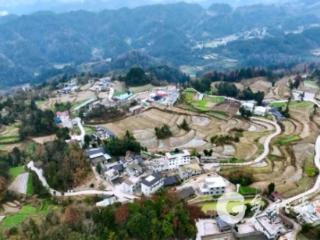 凤冈：47个村（社区）实现全员分红 23万群众共享发展红利