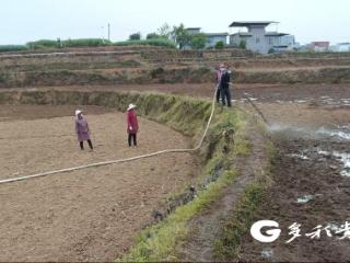 播州区西坪镇：粪污变“肥”巧循环 绿色发展双收益