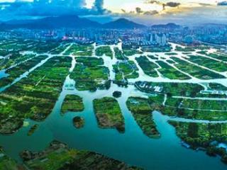 金融活水润乡村：温州银行业的乡村振兴三重奏