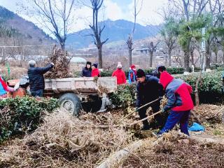 冬日攻坚正火热！青岛市崂山区王哥庄街道深入开展“田园净化回头看”行动