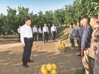 回望“十四五”难忘时刻 追寻总书记乡村足迹