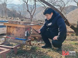 现场评｜新农人应在创新上大展拳脚