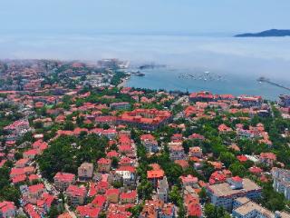 产业跃迁锻造“强”骨架，青岛擘画两万亿新宏图|鲁网迎接2026特别报道