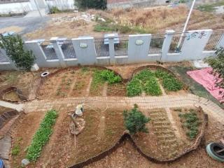 “小菜苗，大成长”——上饶市广信区郑坊镇中心幼儿园中二班“班本课程”纪实