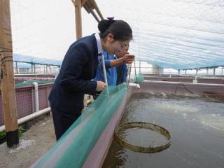 潮涌东海，金融润泽蓝色新篇