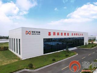 金羽栖乡野 富路通万家——孙枝鸡撑起枣庄乡村振兴一片天