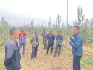 博士创新站典型案例｜涿鹿圣煜农业发展有限公司博士创新站：为海棠“解毒”，为产业“强芯”