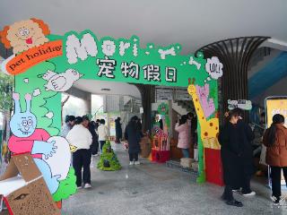 “纸间萌兽”展创意！这所高校以宠物设计赋能应用型人才培养