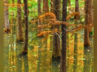必修课｜普通人也能拍“大片”？记者带你定格福州“冬季限定”红！